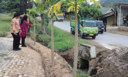 Pemasangan Box Culvert Dipantau Langsung Oleh Walikota Bandar Lampung