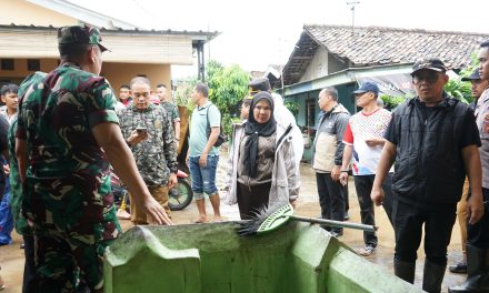 Walikota Bandar Lampung Eva Dwiana Meninjau lokasi terdampak banjir di kecamatan panjang